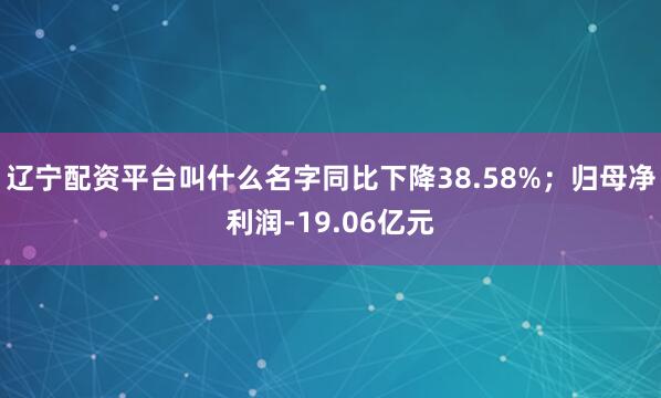 辽宁配资平台叫什么名字同比下降38.58%；归母净利润-19.06亿元