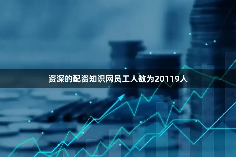 资深的配资知识网员工人数为20119人