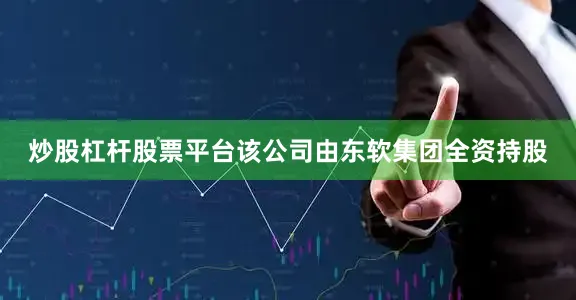 炒股杠杆股票平台该公司由东软集团全资持股