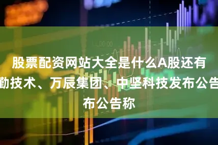 股票配资网站大全是什么A股还有华勤技术、万辰集团、中坚科技发布公告称