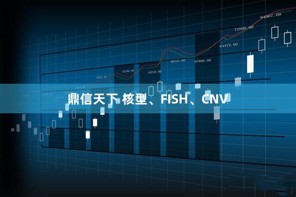 鼎信天下 核型、FISH、CNV