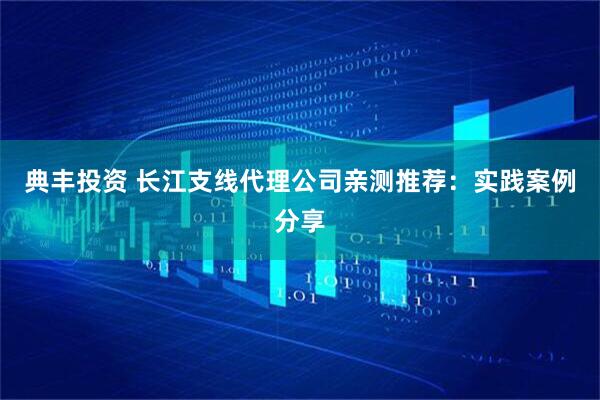典丰投资 长江支线代理公司亲测推荐：实践案例分享