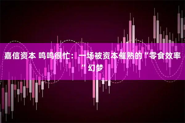 嘉信资本 鸣鸣很忙：一场被资本催熟的“零食效率”幻梦
